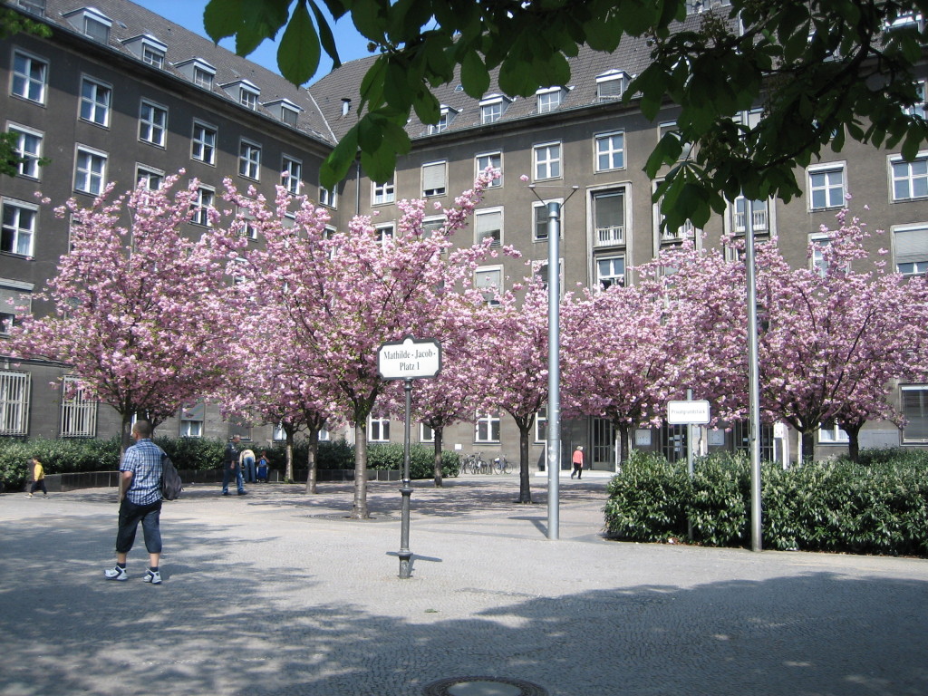 Bezirksamt Mitte von Berlin: Mathilde-Jacob-Platz